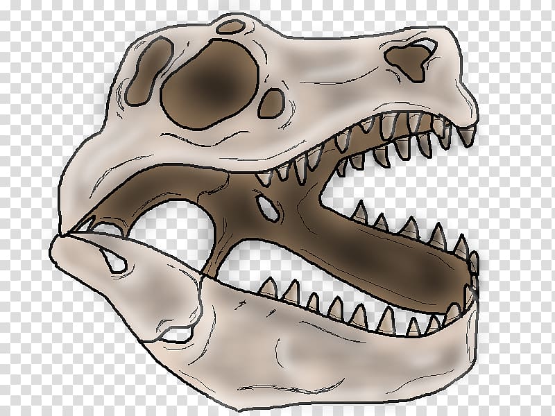 Skull Dinosaur Skeleton Snout, skull transparent background PNG clipart