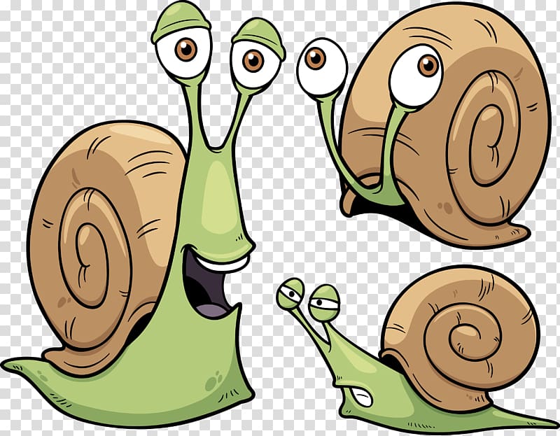 Snail Cartoon Seashell, snails transparent background PNG clipart