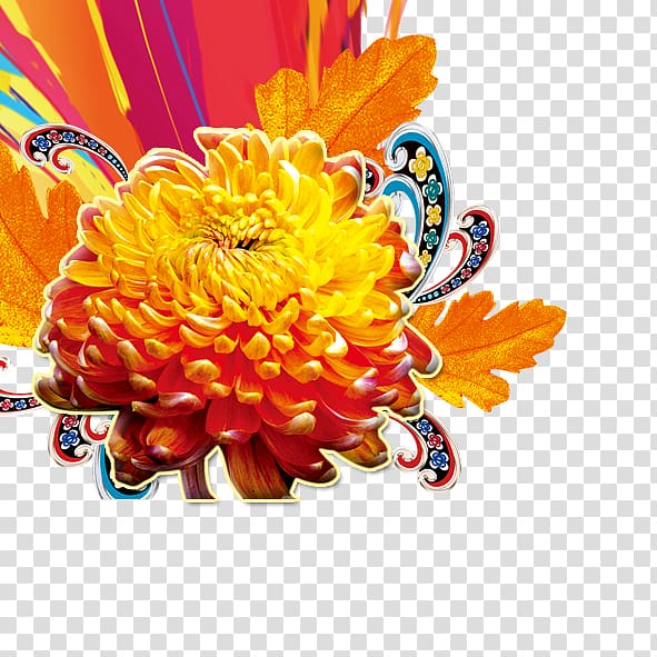 Double Ninth Festival, chrysanthemum transparent background PNG clipart