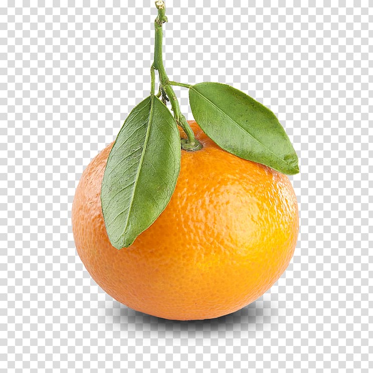 Tangerine Mandarin orange Clementine Fruit Color, tangerine transparent background PNG clipart