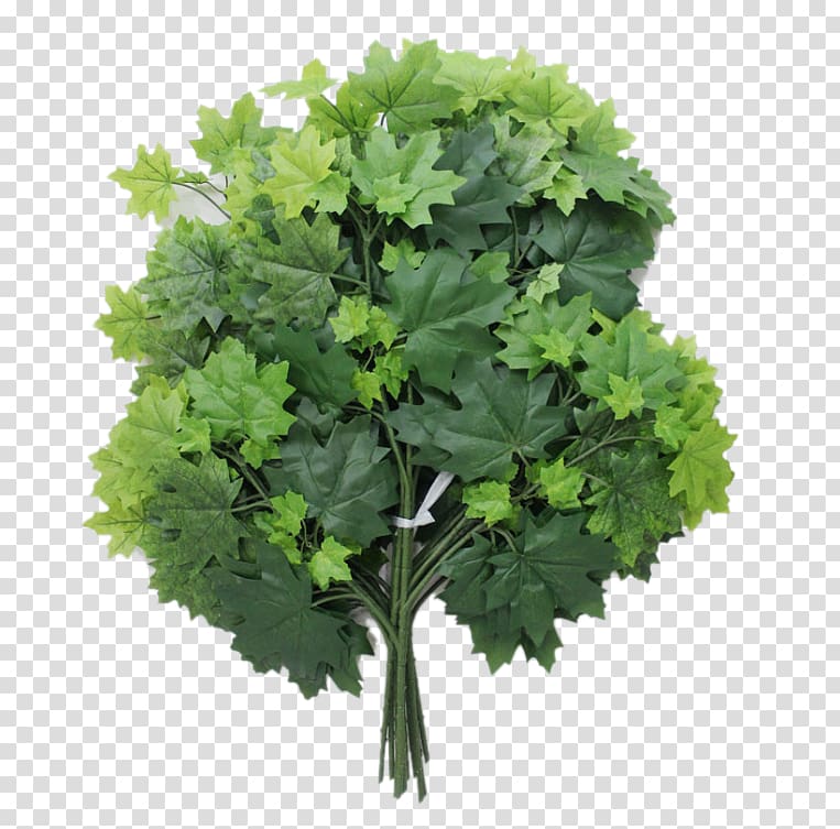Maple leaf Green, Features artificial green maple leaves transparent background PNG clipart