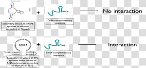 Paper Brand Line Angle, line transparent background PNG clipart thumbnail