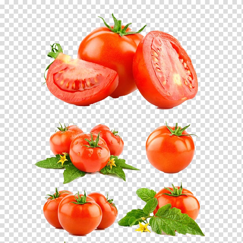 tomatoes collage, Mexican cuisine Tomato Vegetable Food Fruit, Cut tomatoes transparent background PNG clipart