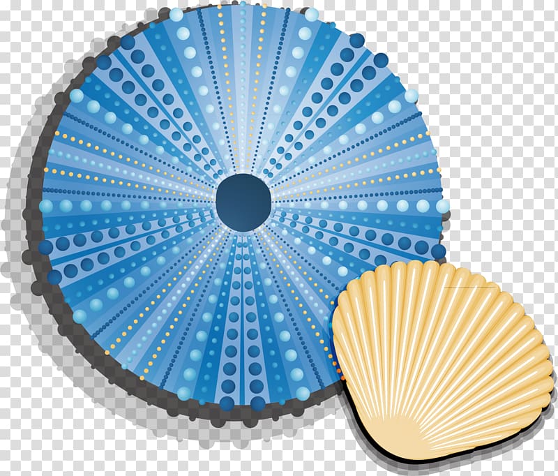 Seashell Euclidean , Shell material transparent background PNG clipart