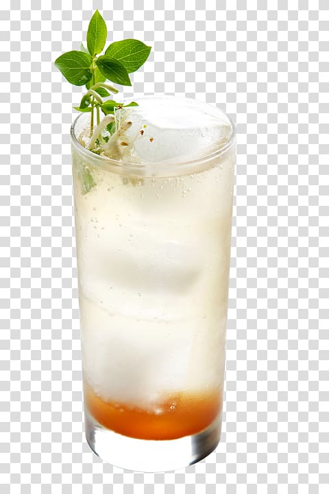 Cocktail garnish Sea Breeze Harvey Wallbanger White Russian Mint julep, cocktail transparent background PNG clipart