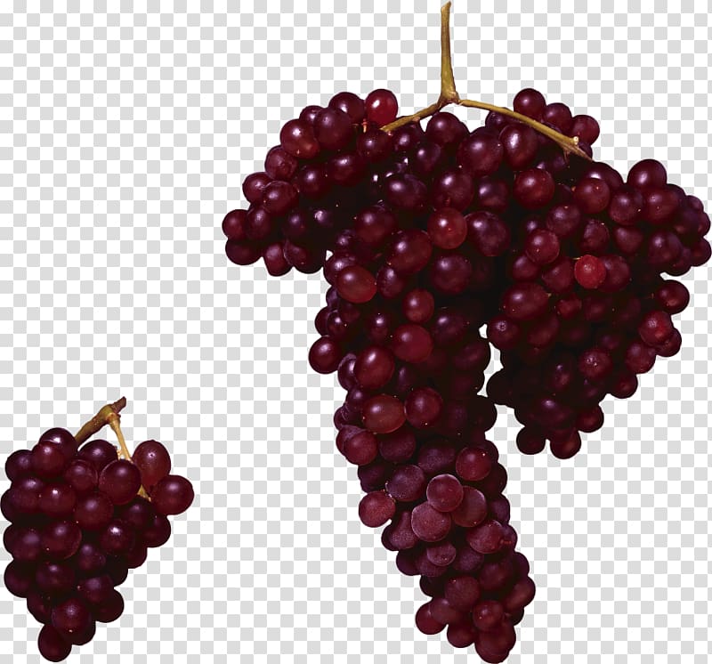 Common Grape Vine Red Wine Concord grape, wine transparent background PNG clipart