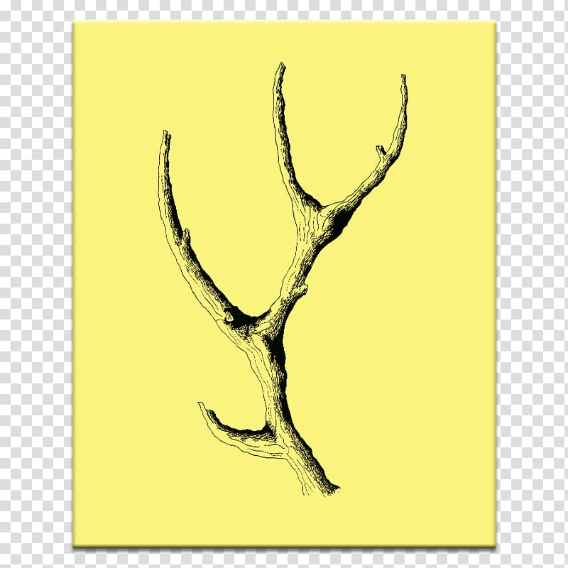 Graphic arts Antler Canvas, design transparent background PNG clipart