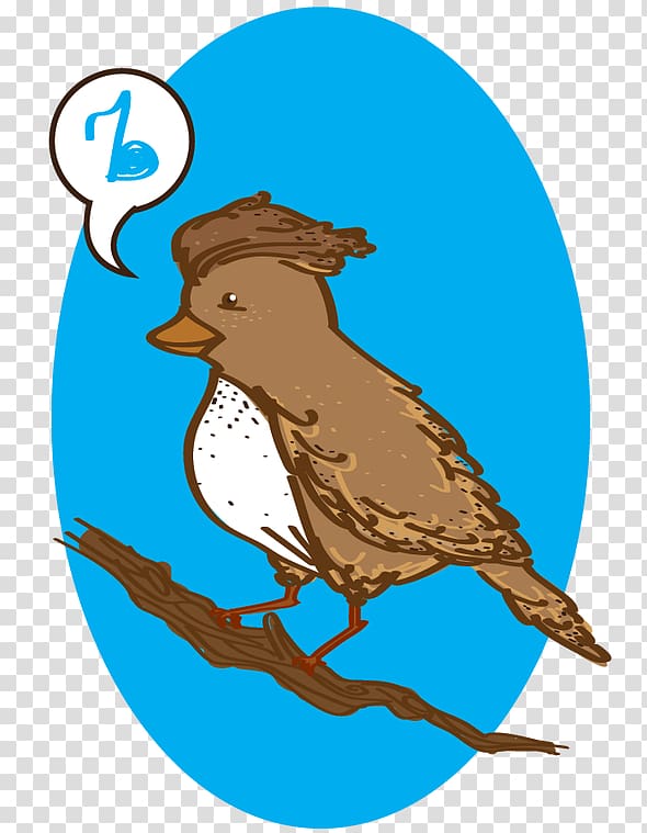 Rufous hornero Passerine Drawing , Bird transparent background PNG clipart