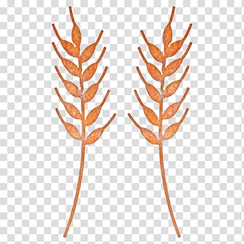 Wheat leaf rust Sizzix Die Combine Harvester, wheat transparent background PNG clipart