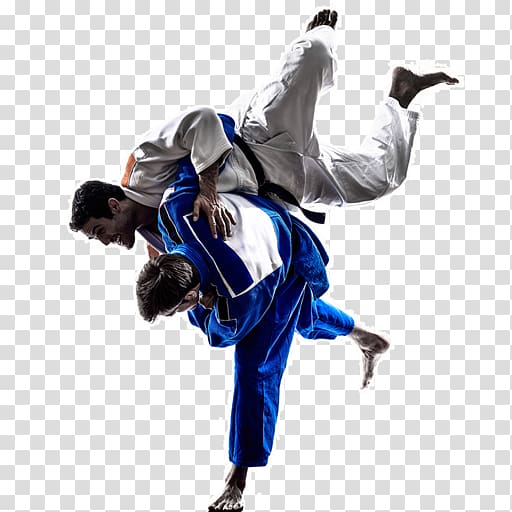 Brazilian Jiu Jitsu Jujutsu Mixed Martial Arts Grappling