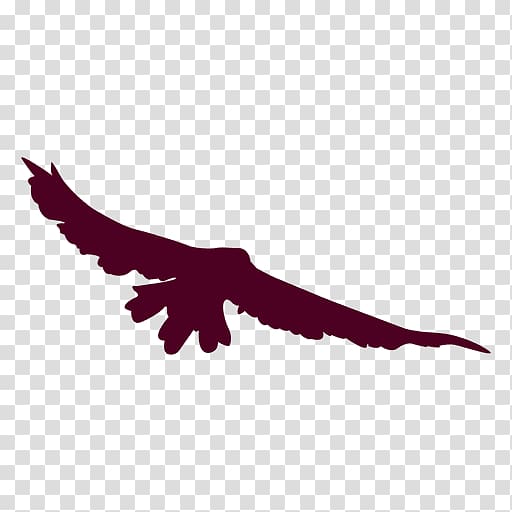 Eagle Bird flight Bird flight, eagle transparent background PNG clipart