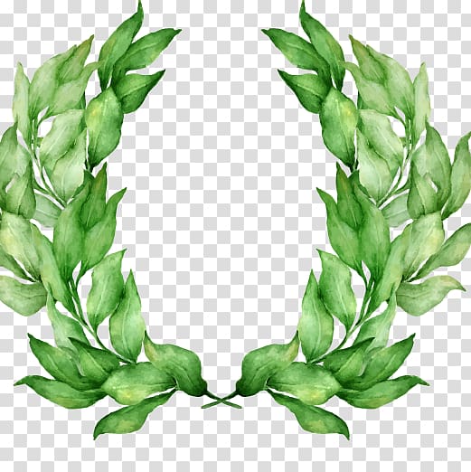 Laurel wreath Bay Laurel Watercolor painting Drawing, painting transparent background PNG clipart