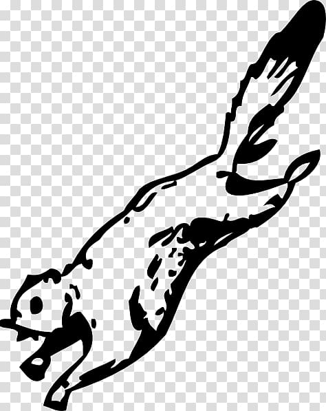 Flying squirrel , Flying Squirrel Coloring Page transparent background PNG clipart