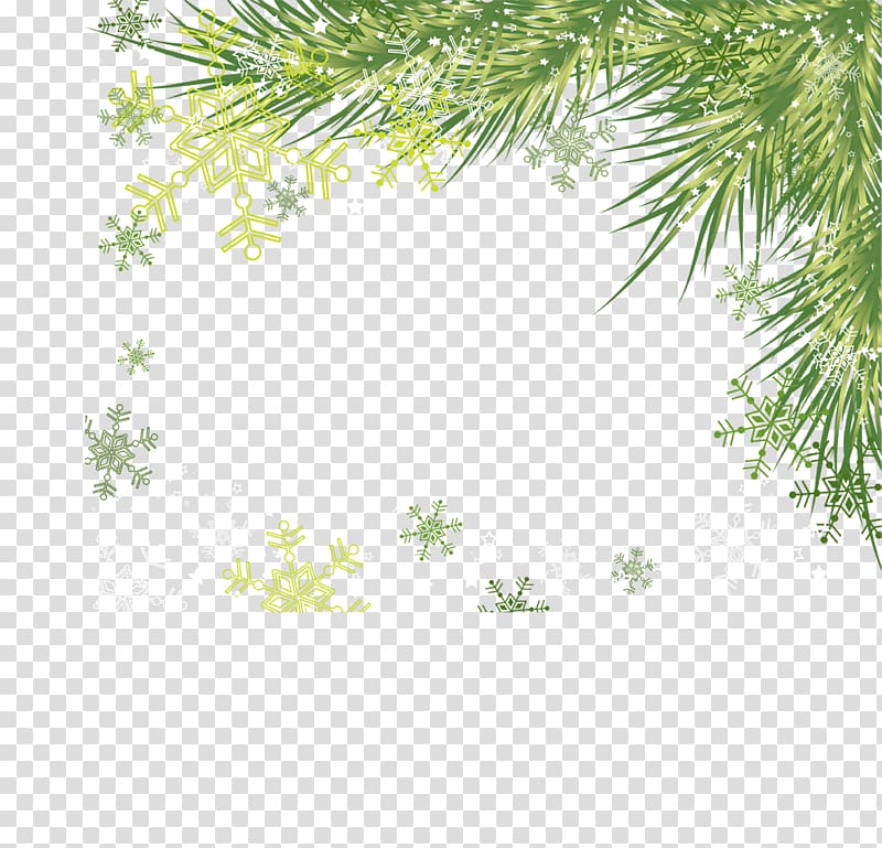 pine boughs, transparent background PNG clipart