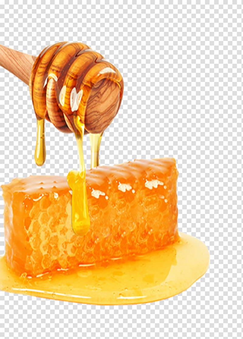 Brown wooden honey dipper with honey Honey bee Yuja cha Honey bee