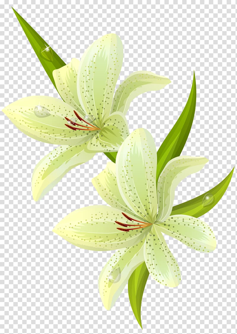 green petaled flowers illustration, Napkin Paper Flower Painting Decoupage, Lilium transparent background PNG clipart