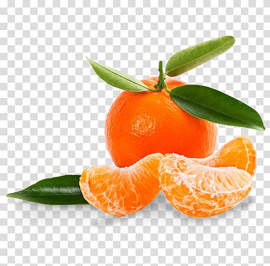 Mandarin orange Tangerine Clementine Satsuma Mandarin Grapefruit, jar transparent background PNG clipart