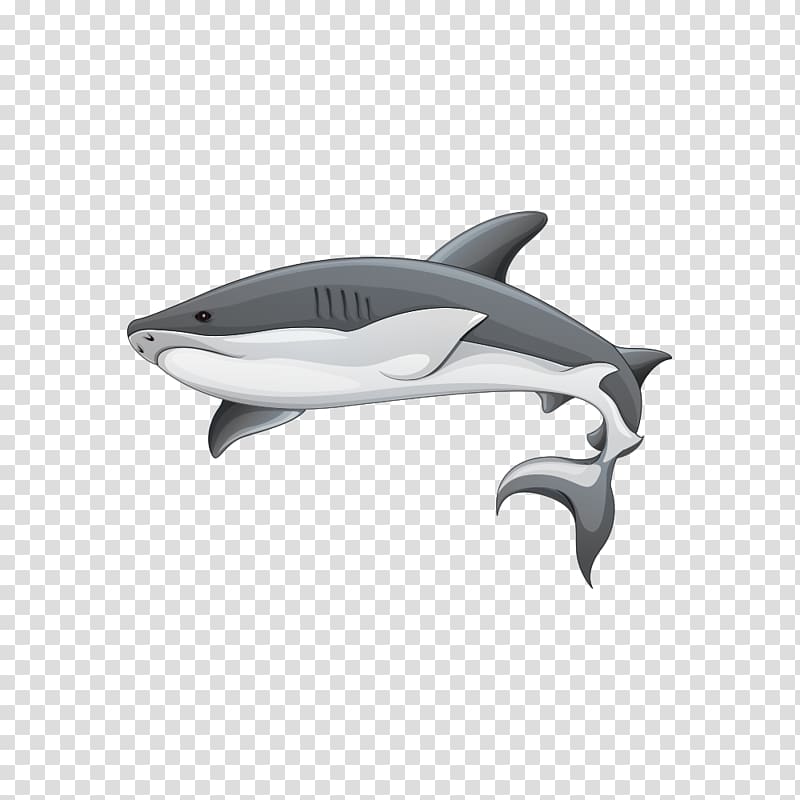 Great white shark Illustration, Shark illustration transparent background PNG clipart