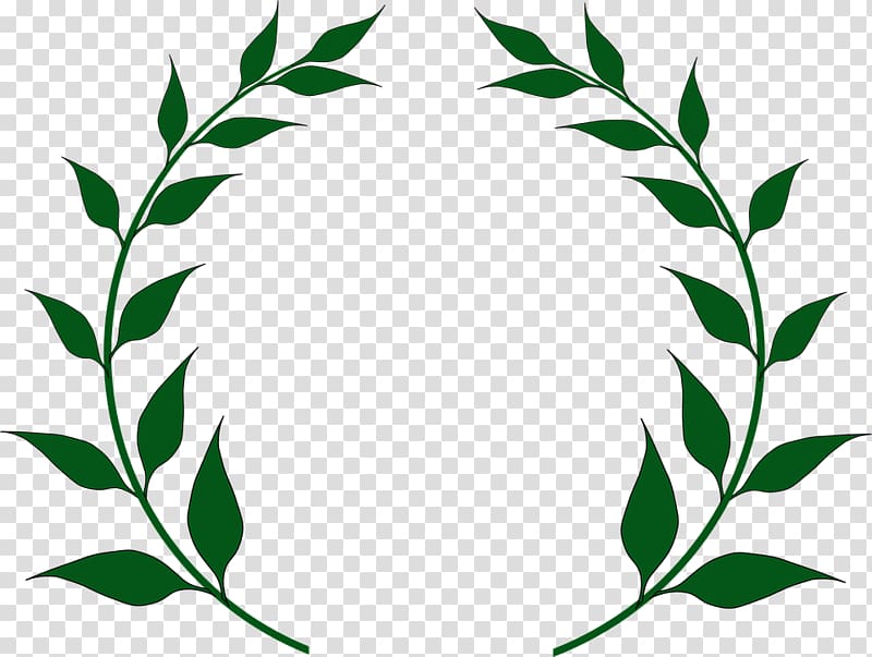 Olive branch Laurel wreath , olive transparent background PNG clipart