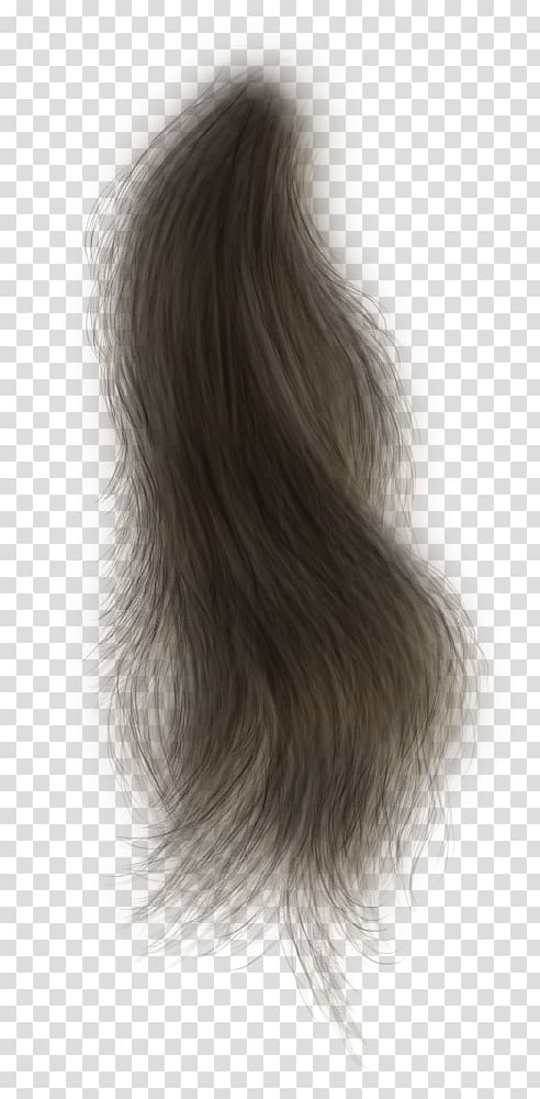 Black hair Wig Long hair Hairstyle, hair transparent background PNG clipart