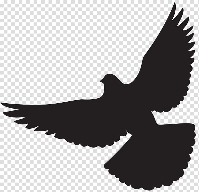 Columbidae Silhouette , DOVE transparent background PNG clipart