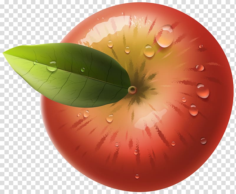 red apple illustration, Apple Computer network , Red Apple transparent background PNG clipart