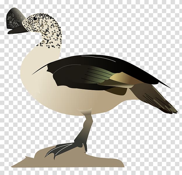 Goose Duck Mallard Bird Waterfowl, comb transparent background PNG clipart