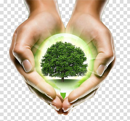 Plant Natural environment , holding green earth transparent background PNG clipart