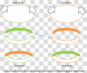 Line Point Angle, line transparent background PNG clipart thumbnail