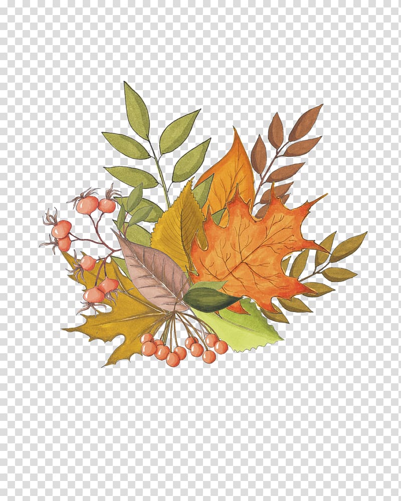 Maple leaf Autumn Drawing, a bunch of maple leaves transparent background PNG clipart