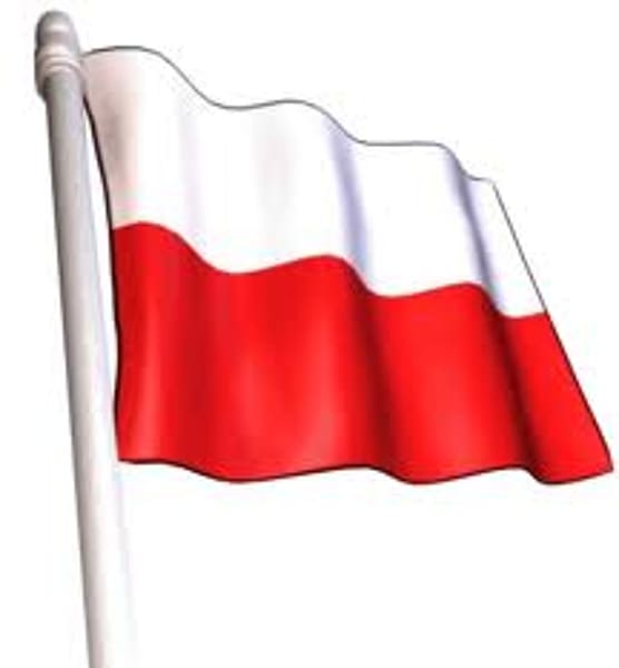 Flag of Poland Polish Flag of Wales , Polska transparent background PNG clipart