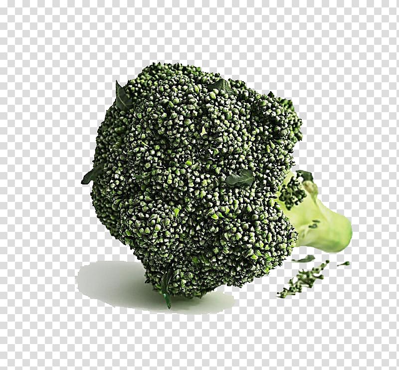 3D modeling 3D computer graphics Broccoli Cinema 4D, Broccoli vegetables transparent background PNG clipart
