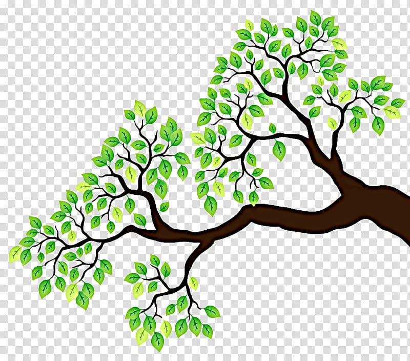 Branch Tree Drawing , branches transparent background PNG clipart