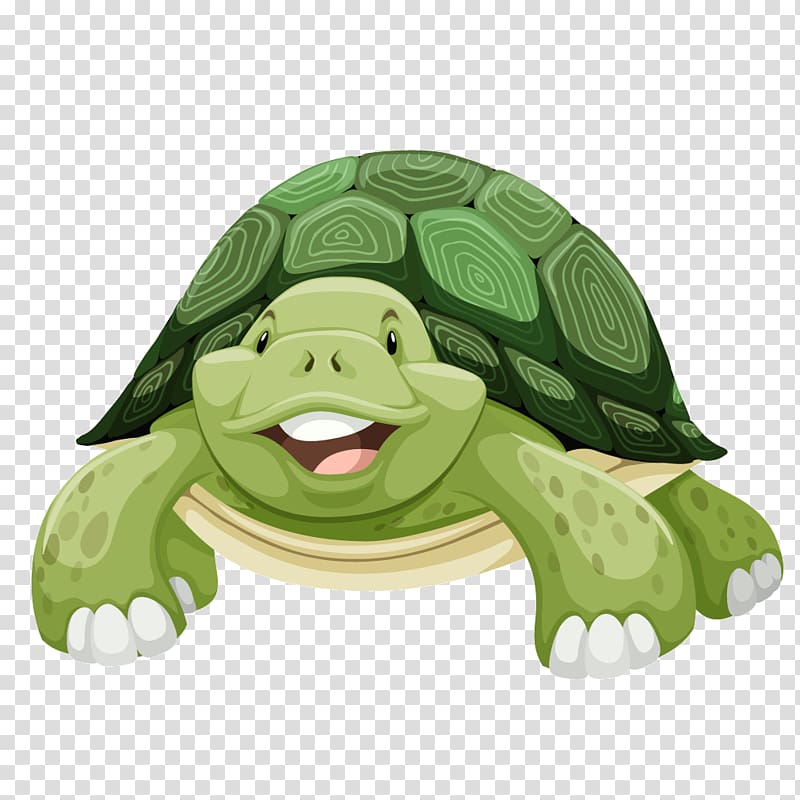 green tortoise illustration, Sea turtle , Green turtle cartoon turtle transparent background PNG clipart