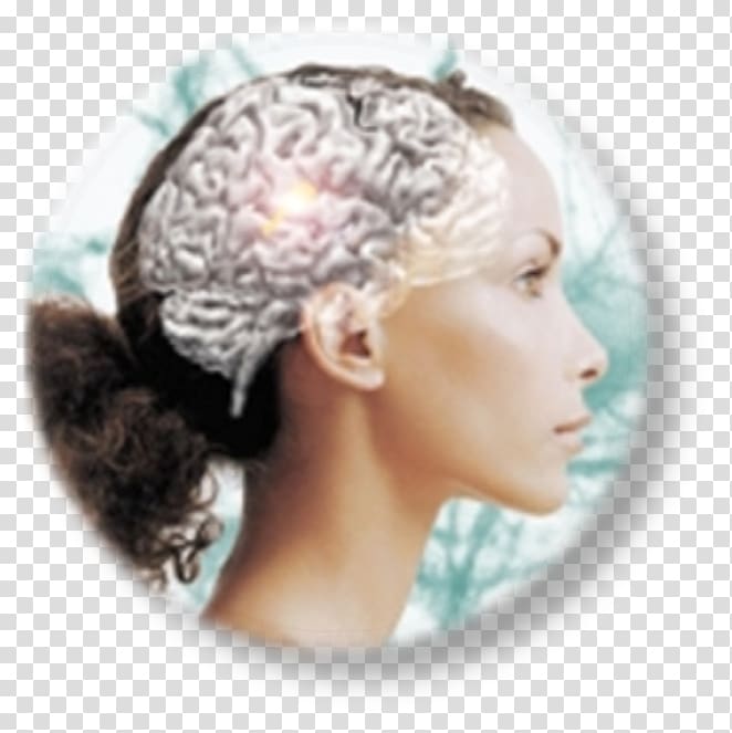 Neuromarketing Neuroscience Functional magnetic resonance imaging Brain, Brain transparent background PNG clipart