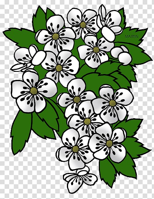 Floral design Cut flowers Food Petal Pattern, Leaf transparent background PNG clipart