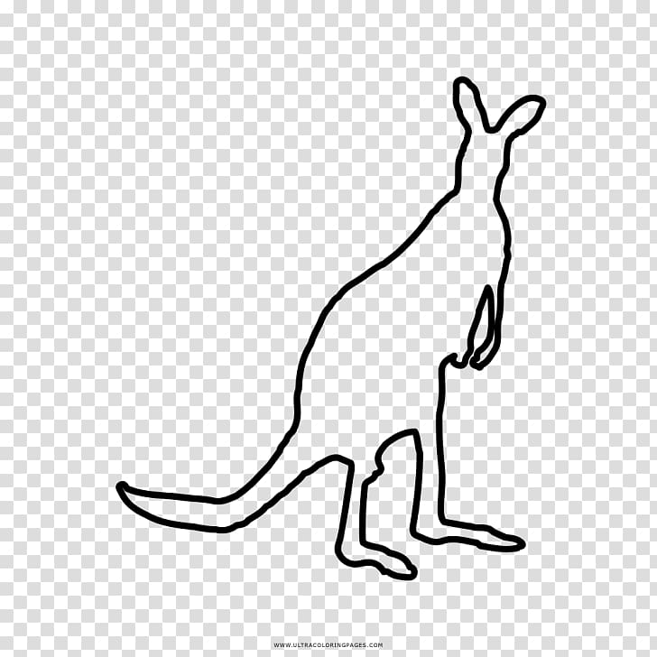 Kangaroo Domestic rabbit Coloring book Macropods, kangaroo transparent background PNG clipart