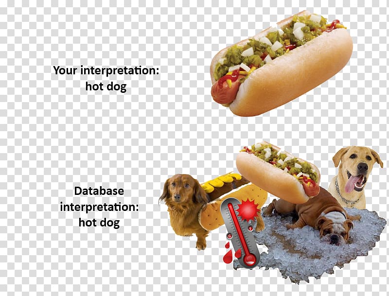 Dog breed Hot Dog days Puppy, hot dog transparent background PNG clipart