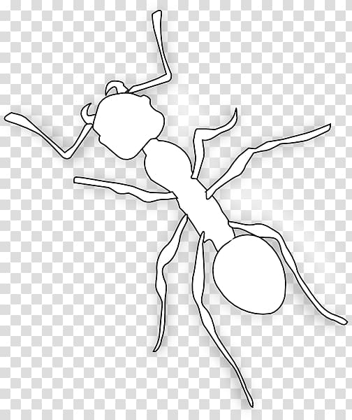 Ant Line art , ants transparent background PNG clipart