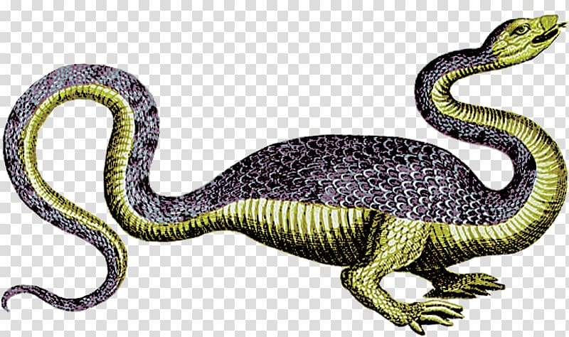 Engraving Printing Dragon Monster, Foot long snake transparent background PNG clipart