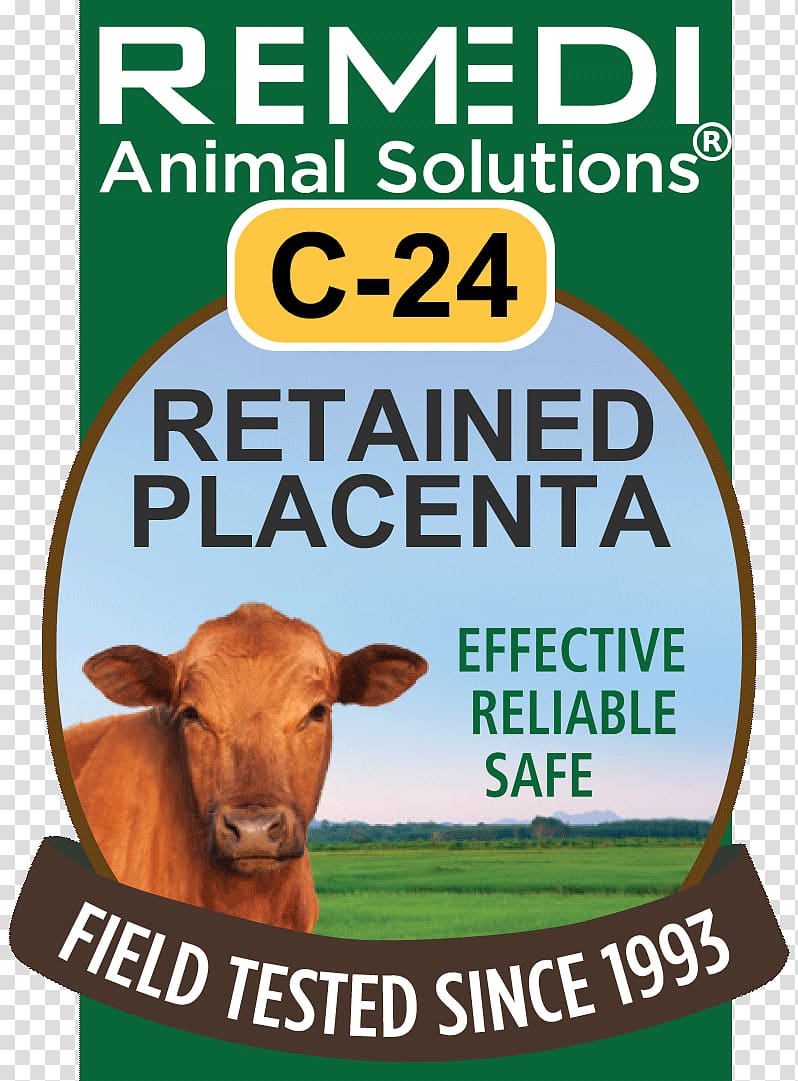 Cattle Homeopathy Preventive healthcare Safety Remedi Animal Solutions, beef cattle transparent background PNG clipart