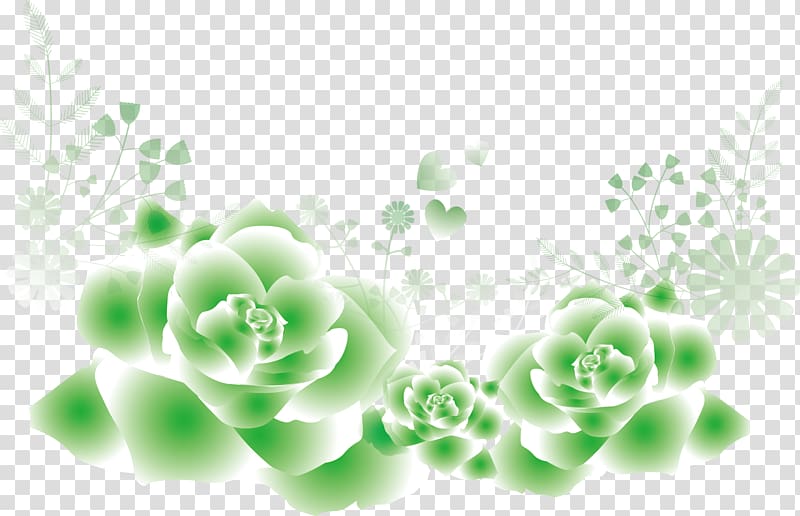 Garden roses Beach rose Green, Green Rose plants transparent background PNG clipart