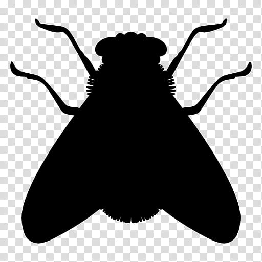 black insect cliaprt, Insect Fly Icon, Silhouette flies transparent background PNG clipart