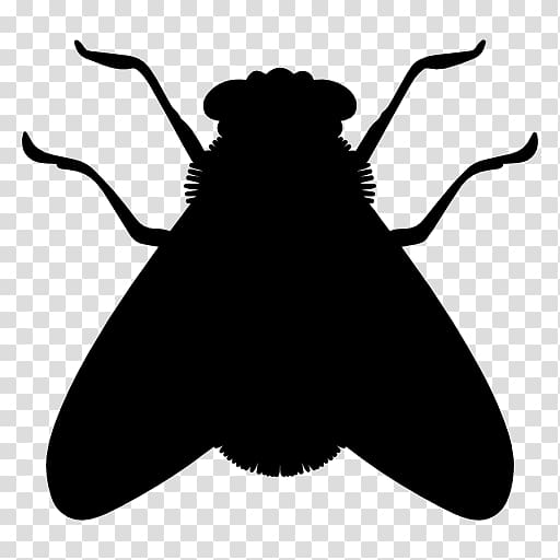 Black insect cliaprt, Insect Fly Icon, Silhouette flies transparent  background PNG clipart