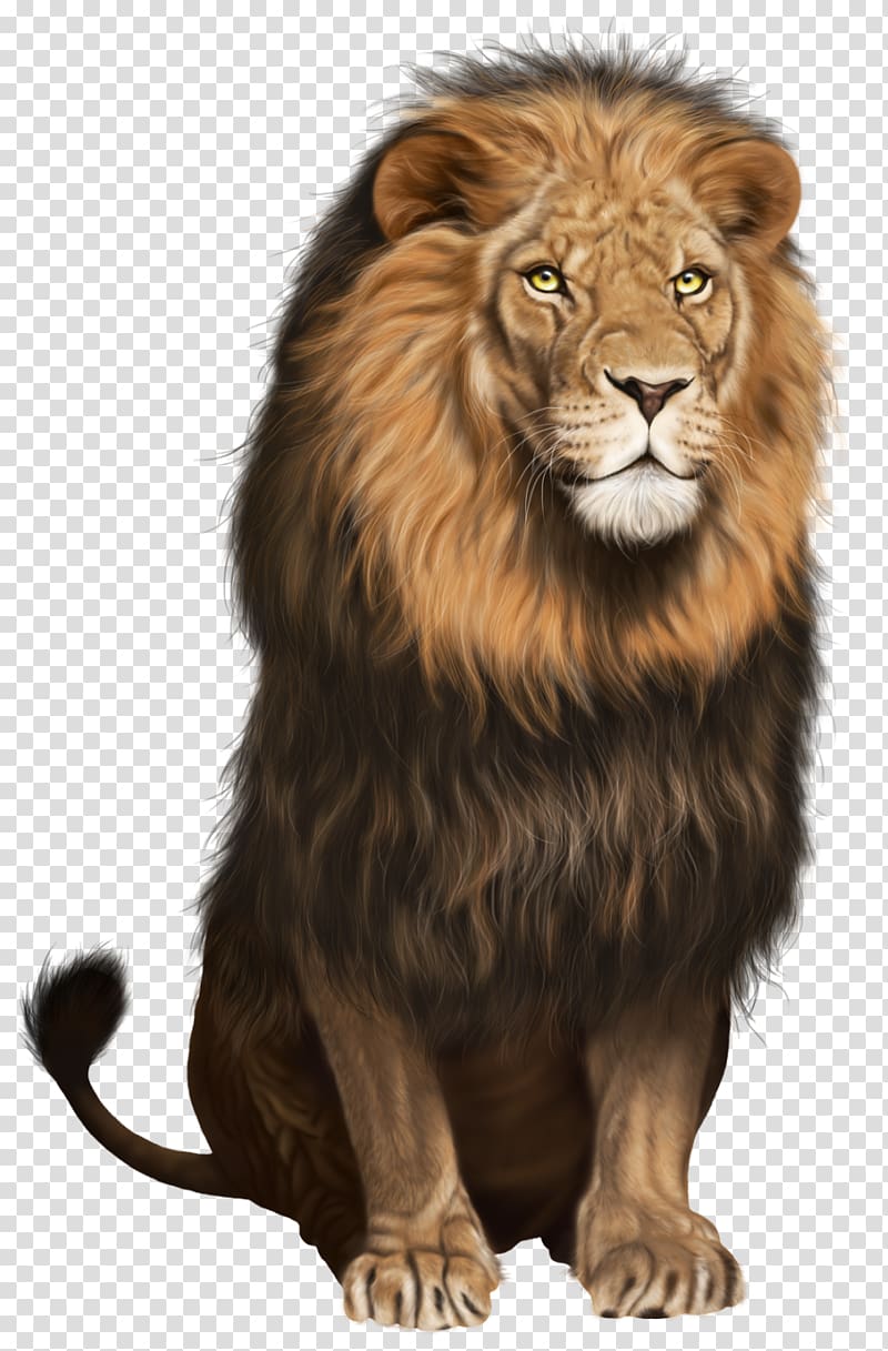 mighty ferocious lion sitting transparent background PNG clipart