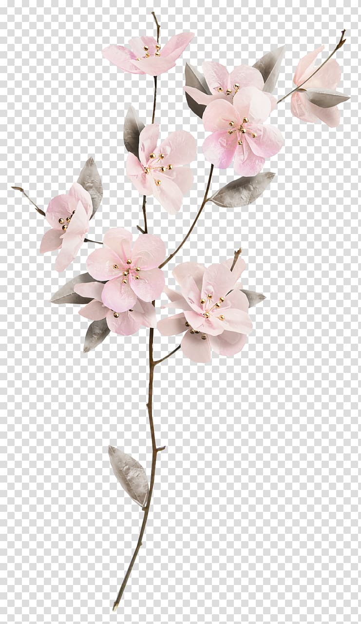 Cut flowers Floral design Floristry, log texture transparent background PNG clipart