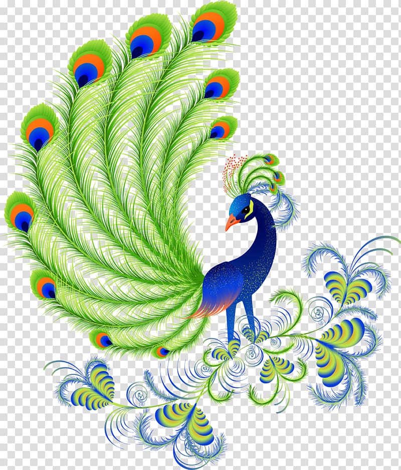 Peafowls, Peacocks and Peahens. Including Facts and Information about Blue, White, Indian and Green Peacocks. Breeding, Owning, Keeping and Raising Peafowls Or Peacocks Covered. Bird Feather , peacock transparent background PNG clipart