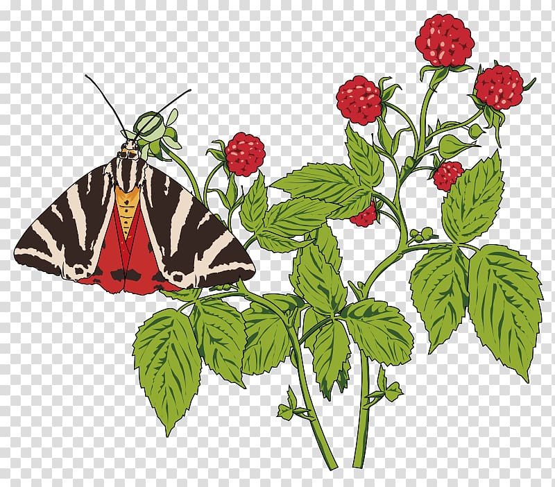 Butterfly Papillon dog Insect , Bouquet of Flowers transparent background PNG clipart