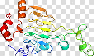 Line Point , line transparent background PNG clipart thumbnail