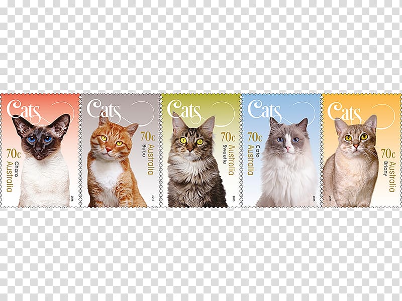 Kitten Postage Stamps Australia Philately Stamp collecting, wanted stamps transparent background PNG clipart